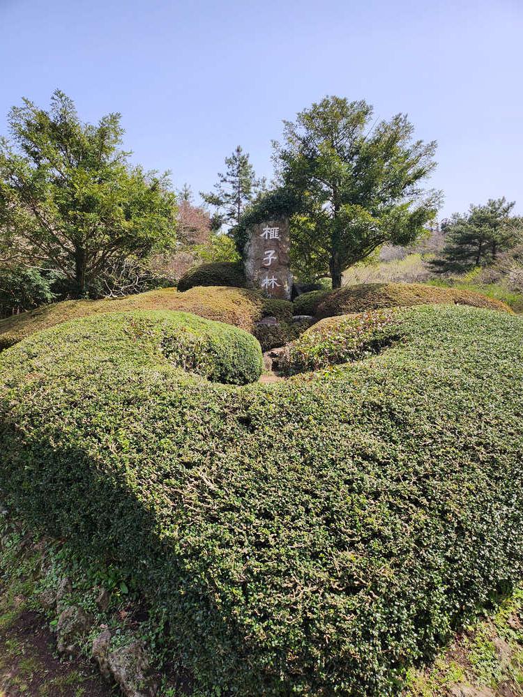 비자림 입구로2