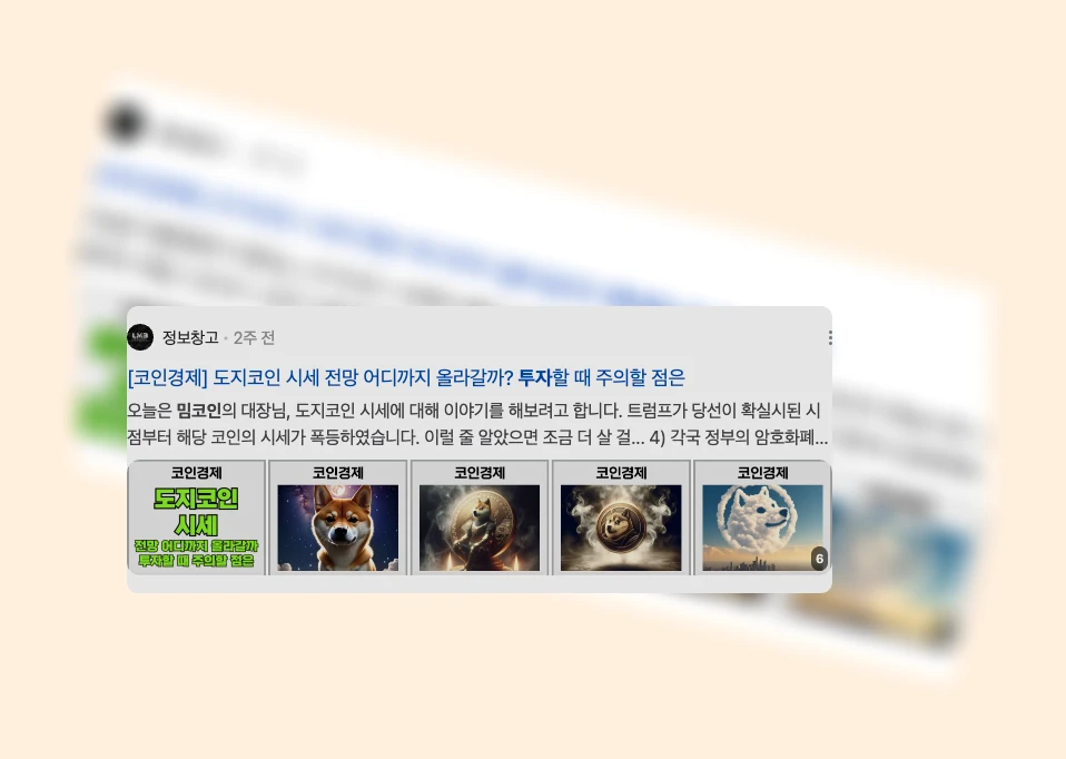 밈코인 투자의 향방_1_subsection