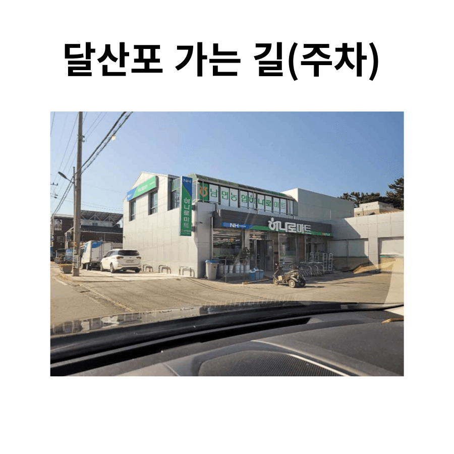 달산포 해수욕장 가는 길, 주차 방법