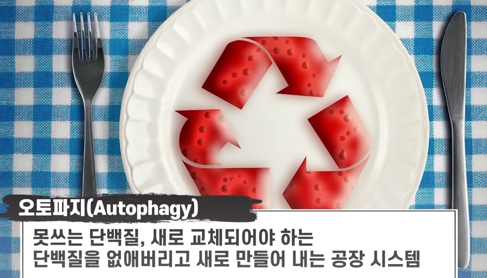  소식은 노화방지에 가장 탁월한 방법.jpg