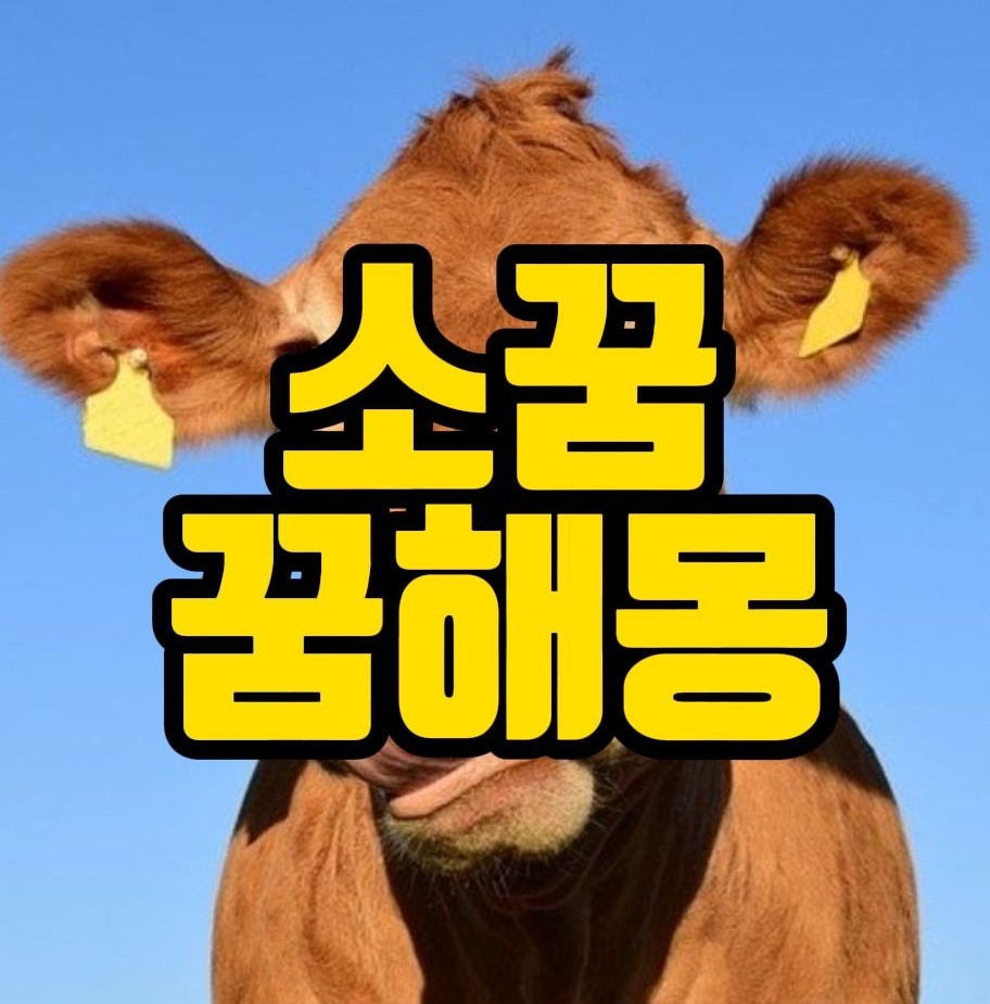  [꿈해몽] 소타는꿈, 소보는꿈, 소를파는꿈, 소를죽이는꿈, 소가길막는꿈, 송아지꿈, 소똥꿈, 소뿔꿈, 소고기꿈, 소꿈 꿈풀이 50선