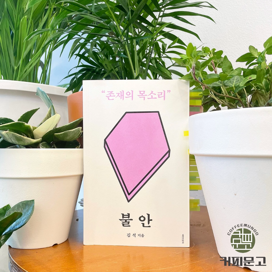 비단지음 이미지