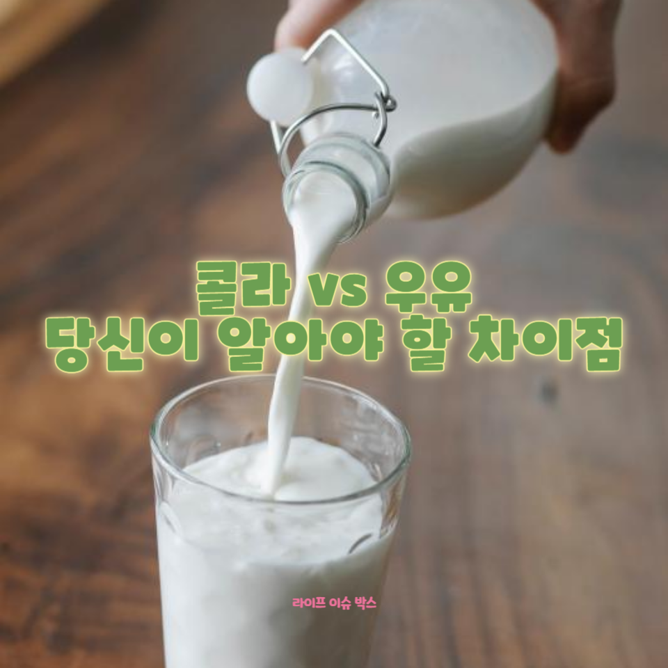 콜라와 우유의 영양 성분을 비교 분석