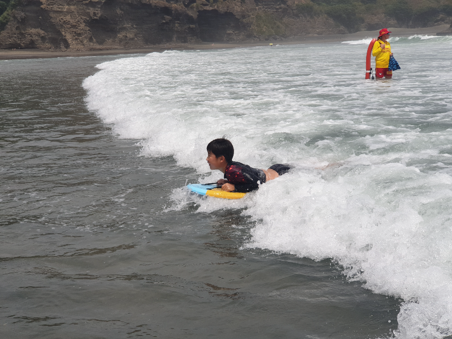 Piha beach