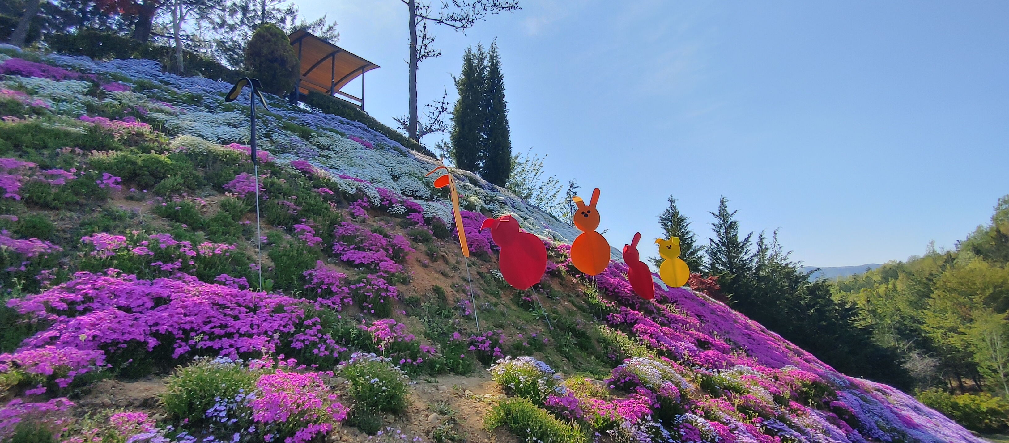 동산잔디 이미지