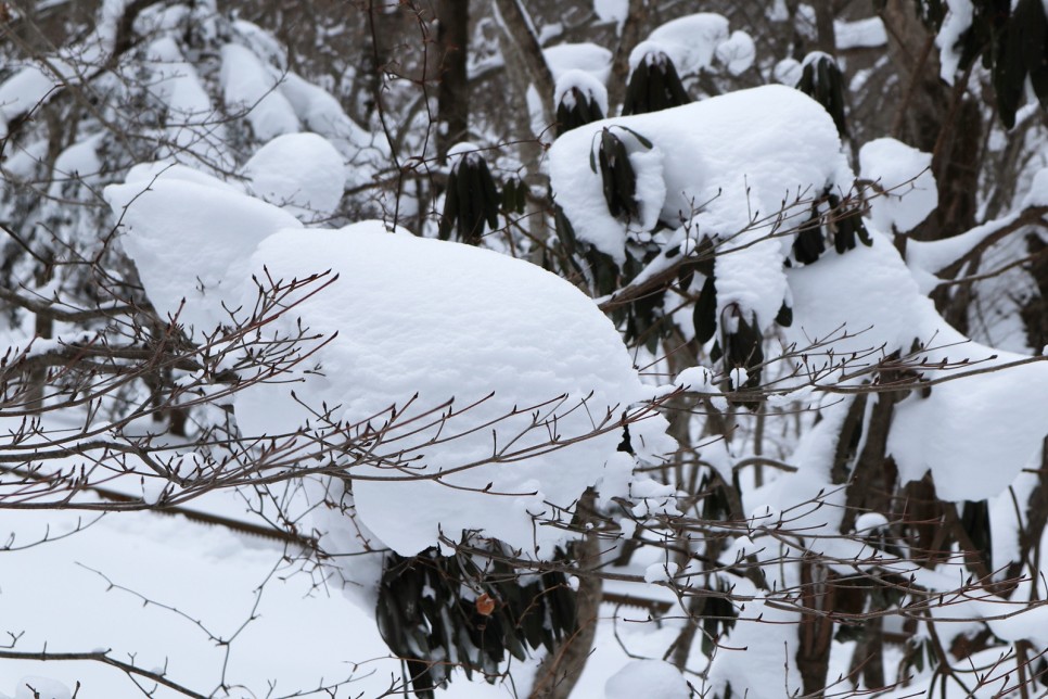 눈쌓인 겨울산 이미지 75