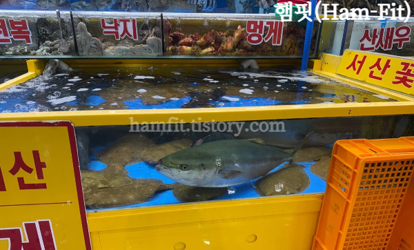 [서울 맛집] 송파 가락시장 회센터 형제수산