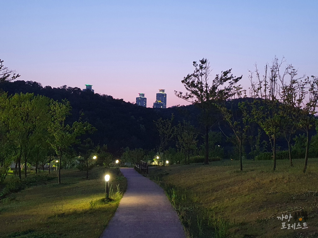 동탄여울공원 산책