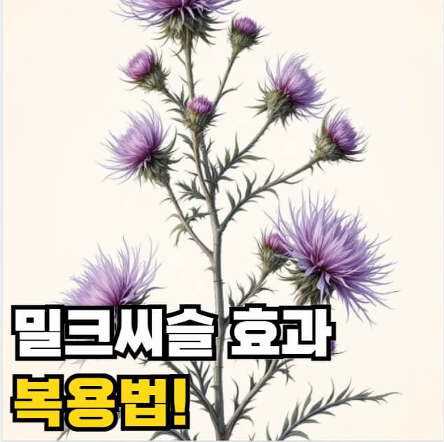 밀크씨슬 효과 복용법