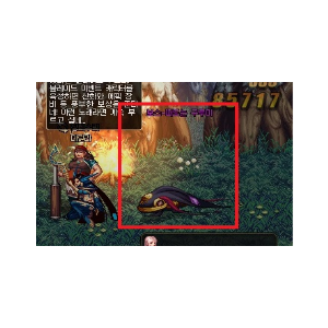  던파) 블레이드 이벤트 던전에서 꽃잎의 석영