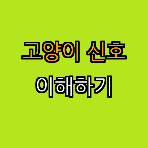 3. 고양이의 신호를 이해하기