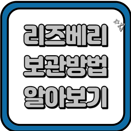 라즈베리 효능 및 보관방법 알아보기