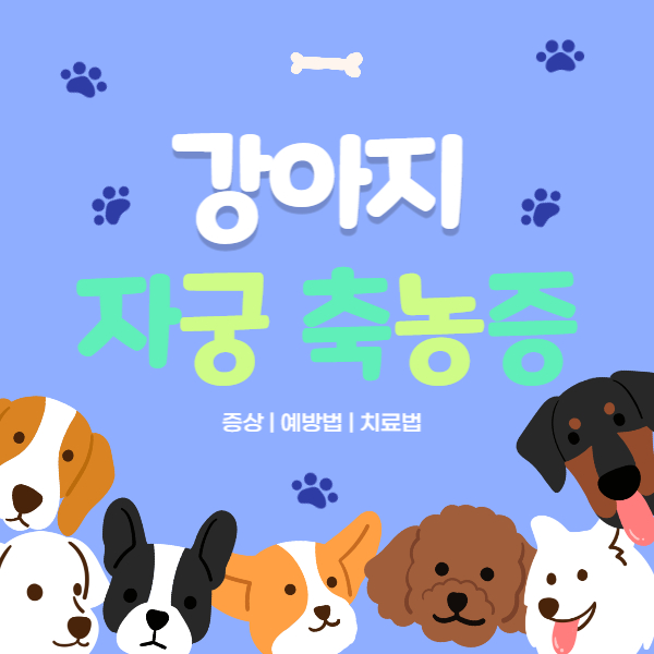 강아지_자궁축농증_썸네일