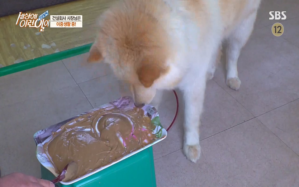 순간포착 세상에 이런일이.E1171.220316p-NEXT.mp4_20220316_185018.042.jpg