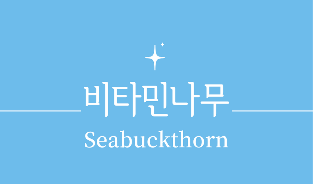&#39;산자나무 비타민나무(Seabuckthorn)&#39;
