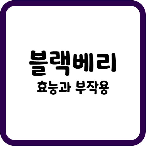 블랙베리의 효능과 부작용