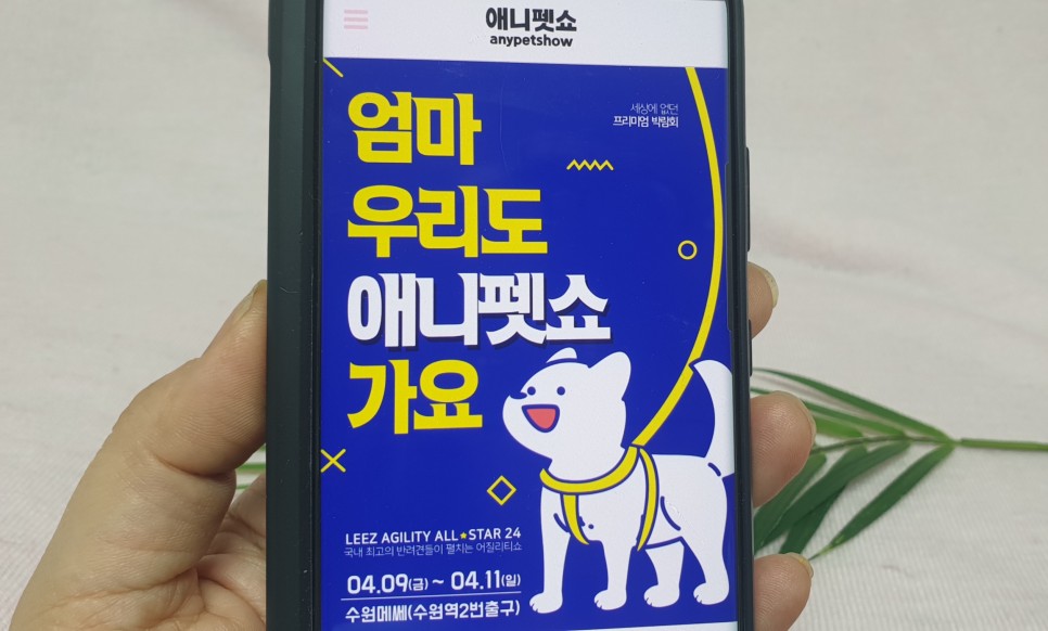 수원멧세 반려동물박람회 수원펫쇼 4월 9일~4월 11일 3