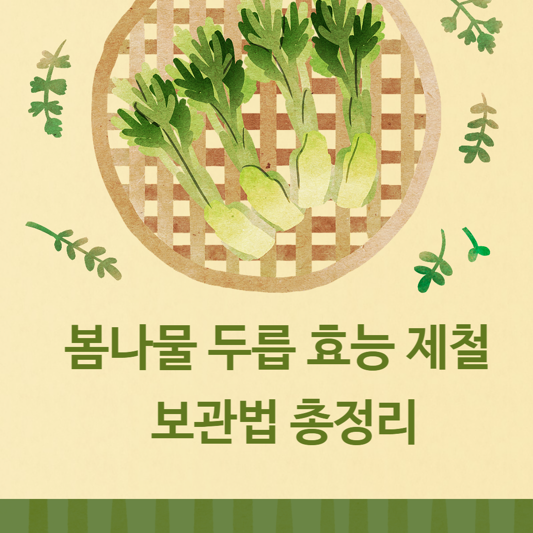  봄나물 두릅 제철 효능 보관법 총정리