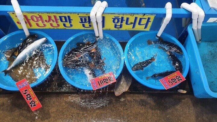 까치복