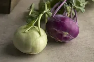 콜라비