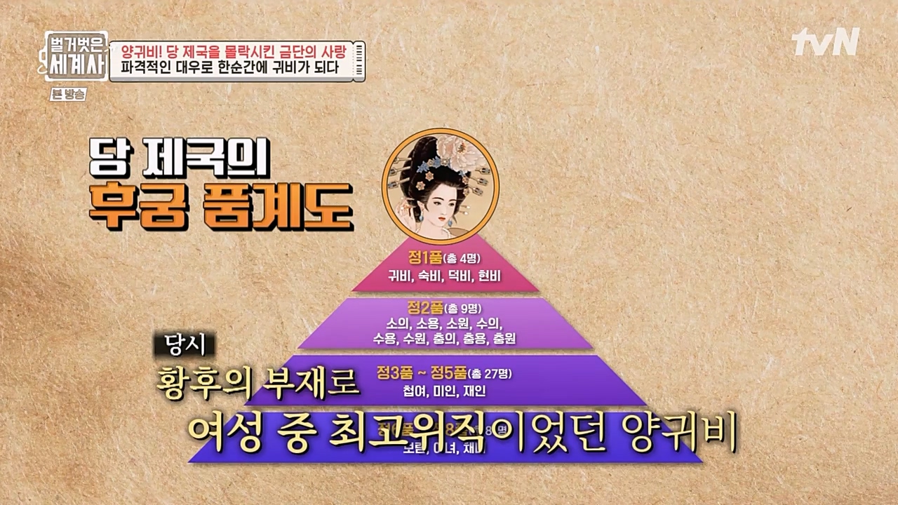 벌거벗은 세계사.E83.230125p-NEXT.mp4_20230303_204829.741.jpg