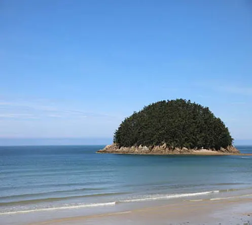 천리포수목원