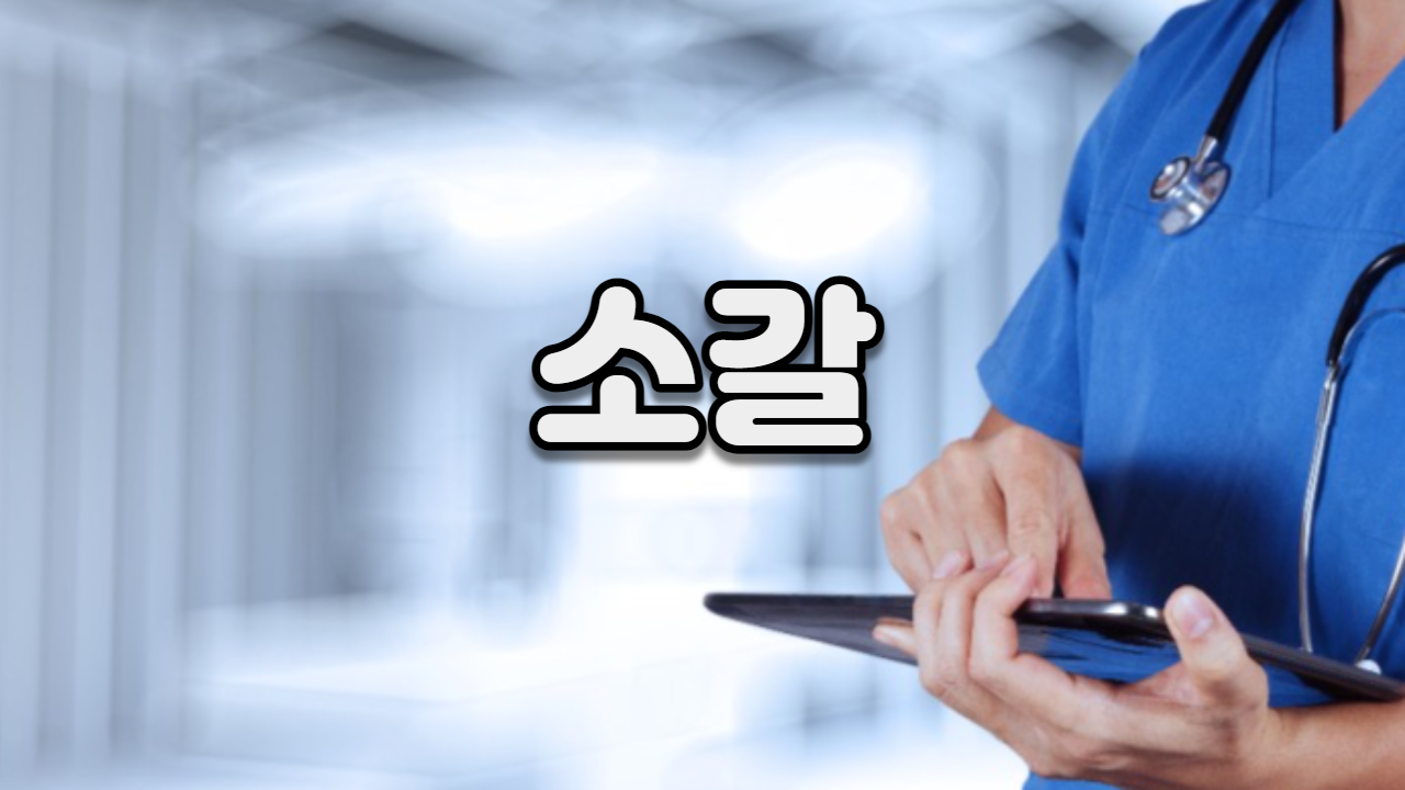  소갈