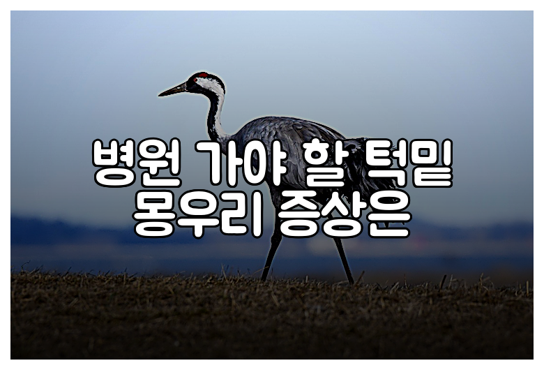 병원 가야 할 턱밑 몽우리 증상은