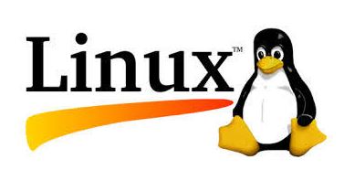  [Linux] 리눅스 시스템 설치 명령어
