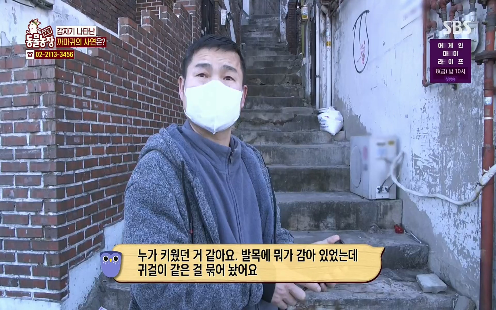 TV 동물농장.E1062.220327p.H264-F1RST.mp4_20220327_174432.874.jpg