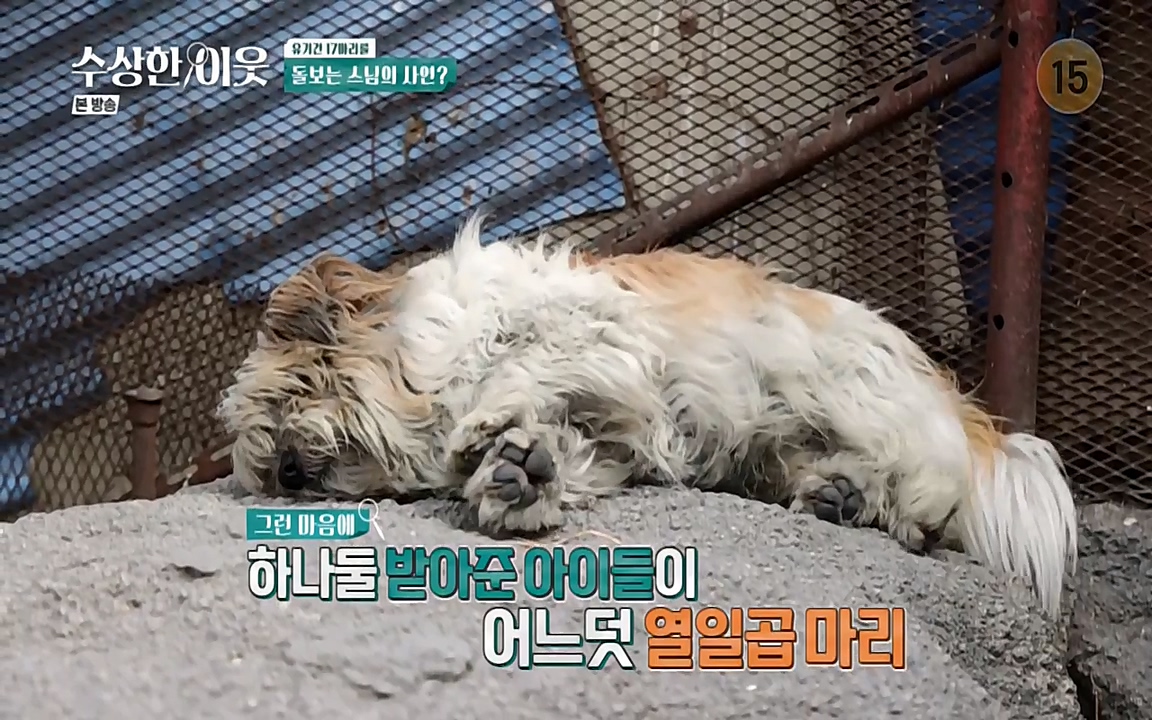 수상한 이웃.E04.220422p-NEXT.mp4_20220424_192916.647.jpg