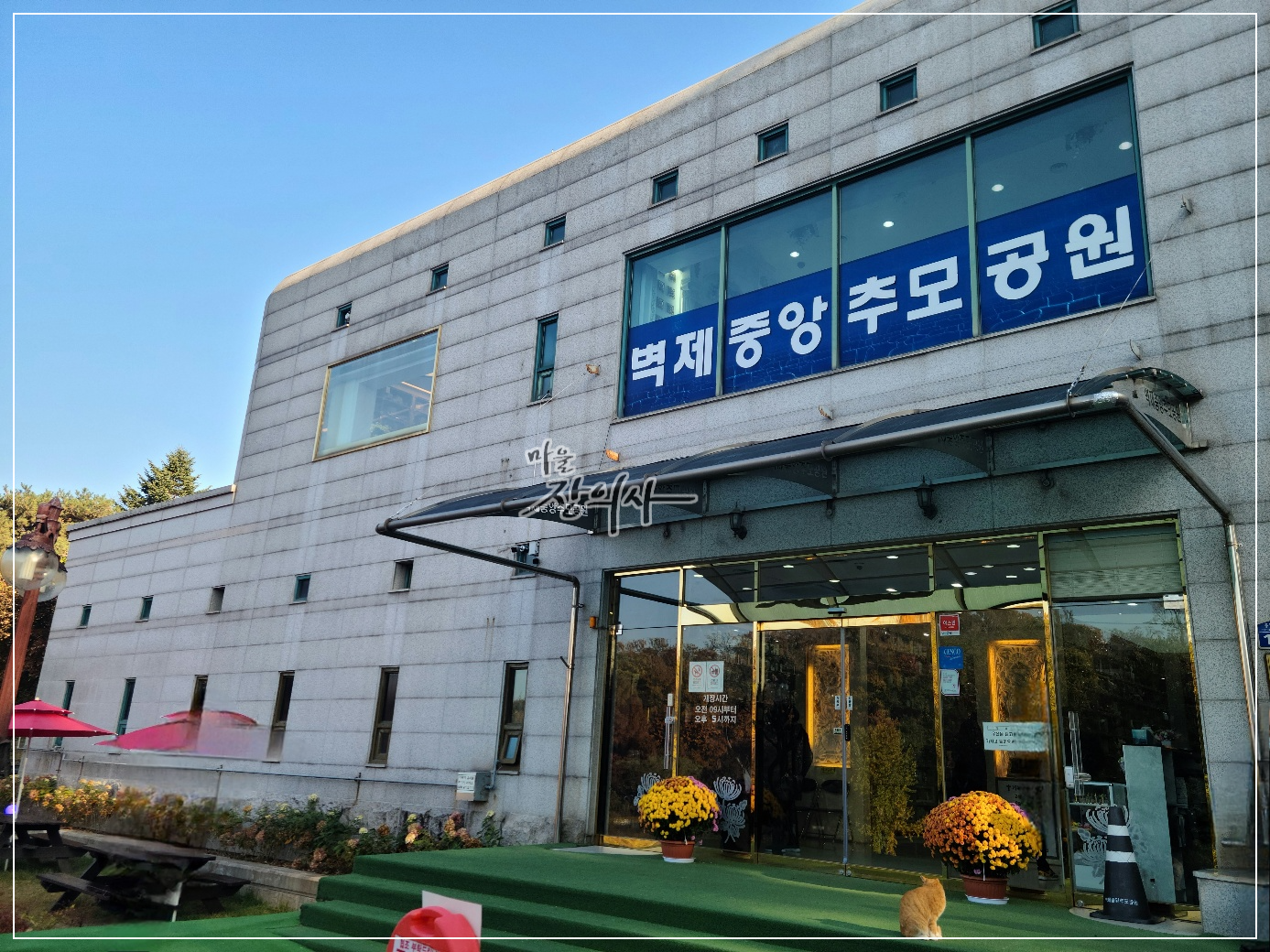 중앙장의사 이미지