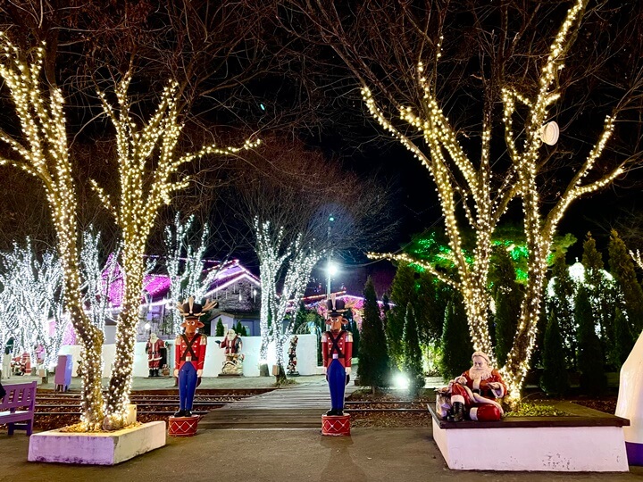 청도프로방스-빛축제-별빛정원