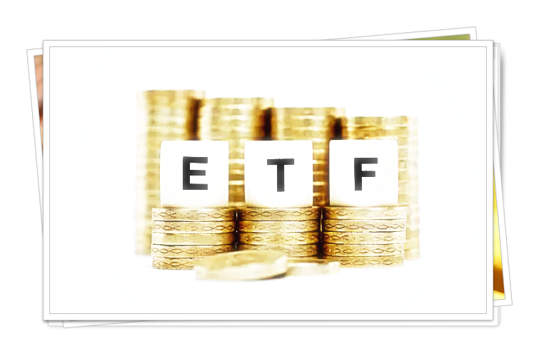  신흥 시장 상장지수펀드(ETF) 상위5종목 분석