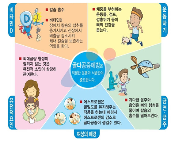 골다공증예방은 적절한 운동과 식습관이 중요합니다.