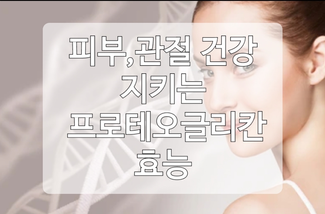  관절,연골과 피부건강을 지키는 프로테오글리칸 효능과 먹는 방법