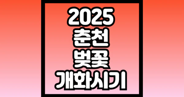 2025-춘천-벚꽃-개화시기