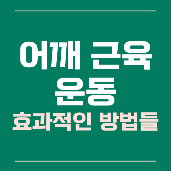  어깨 근육 운동의 효과적인 방법들 알아보기!