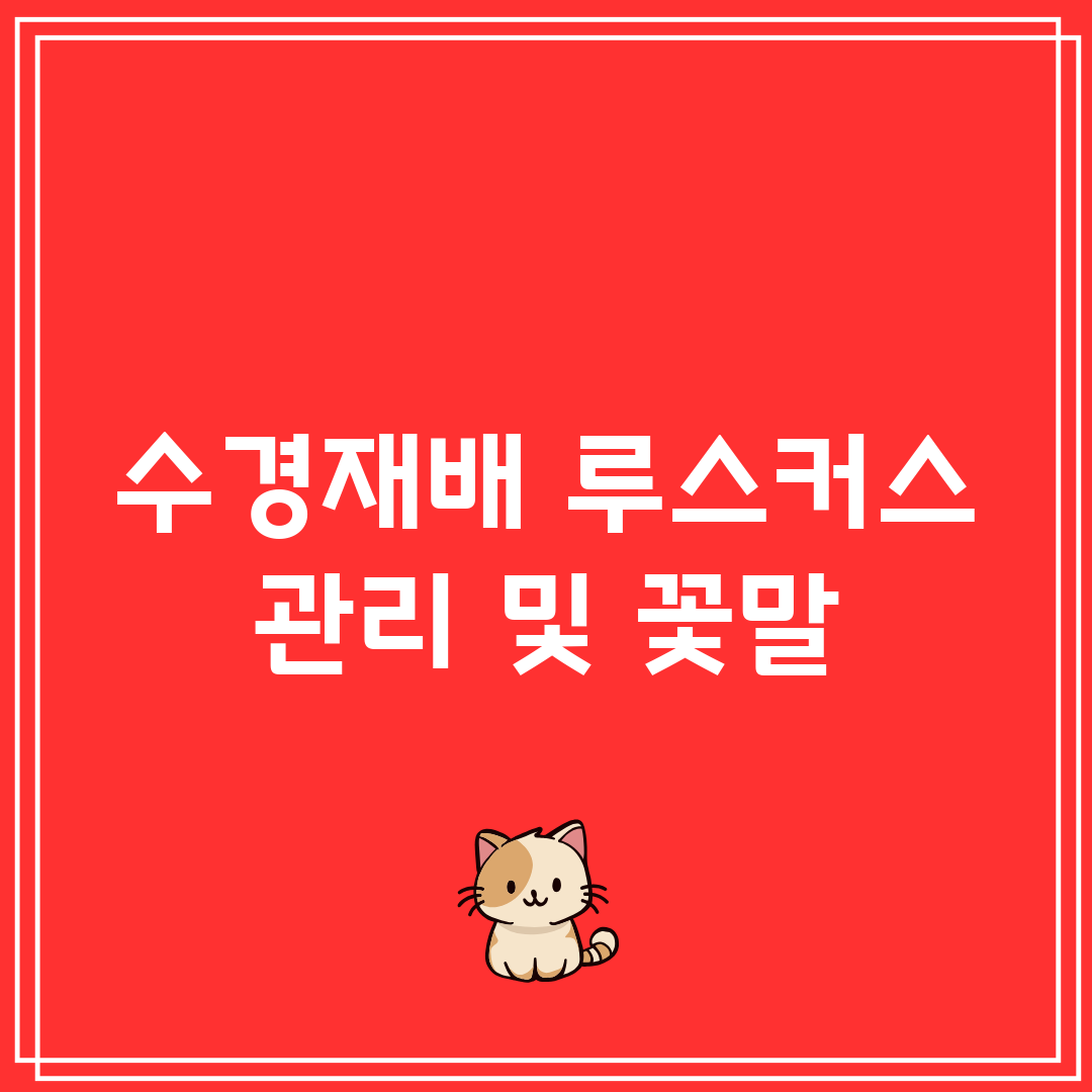 수경재배 루스커스 관리 및 꽃말