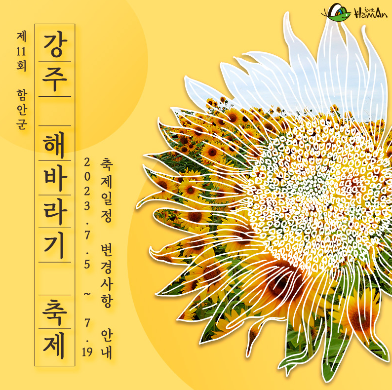 강주해바라기축제