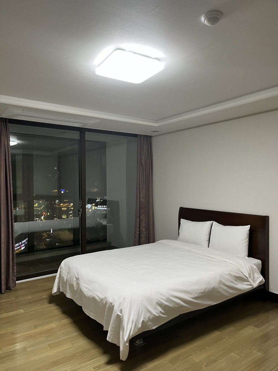 팔레드시즈 이미지