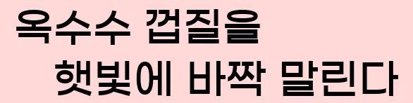  3)옥수수 껍질을 햇빛에 바짝 말린다.