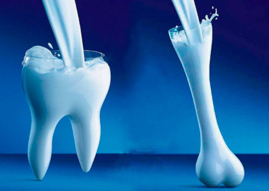 뼈와 치아 및 골격 생성 어골칼슘