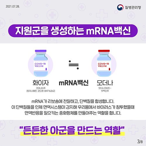 mRNA 카드뉴스2