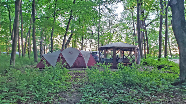 Big Island Campground - Myre-Big Island State Park