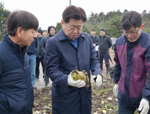 오영훈 제주지사 선거법 위반 지사직 유지 벌금형 이유