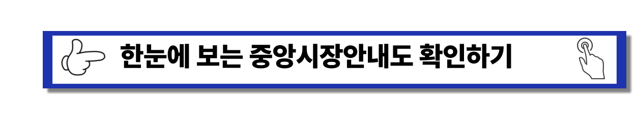2025 - 속초중앙시장