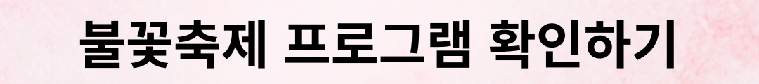 불꽃축제 프로그램 확인하기