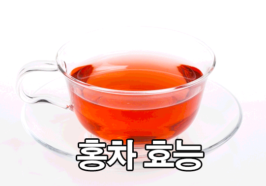  홍차 효능 및 부작용 10가지 : 카페인 함량