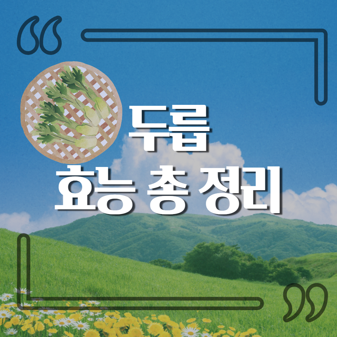  두릅 효능 총정리 / 세척법 / 보관법 / 먹는법 / 고르는 팁!!